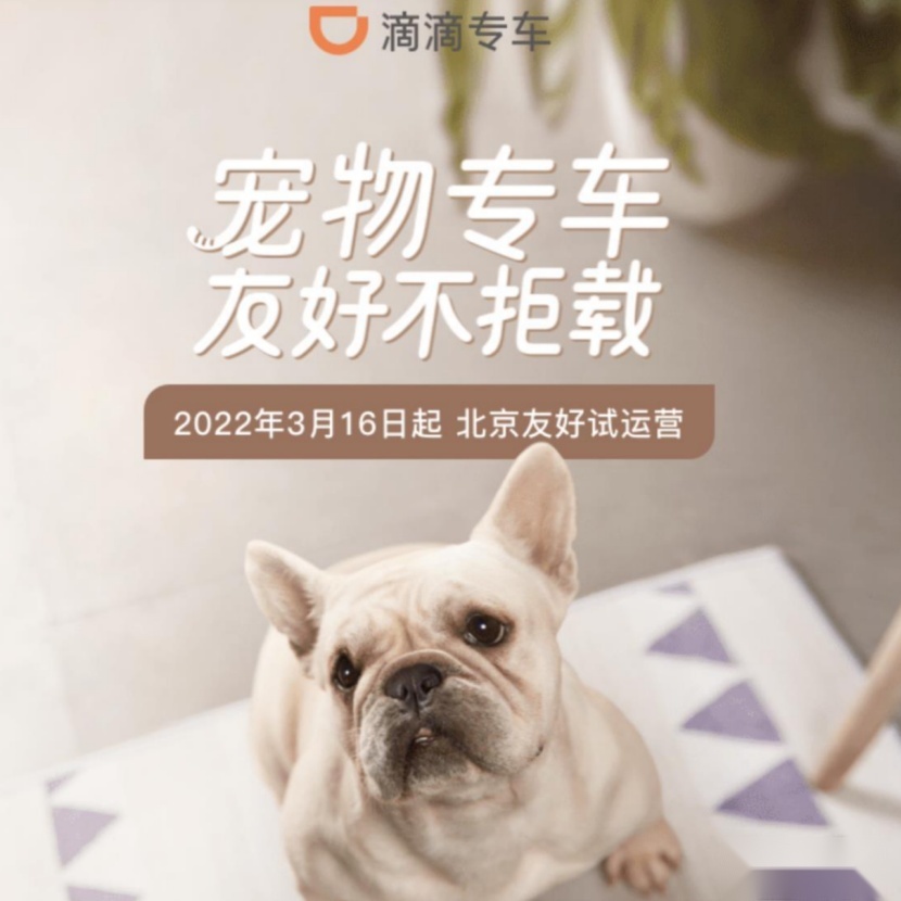 下一代奥迪Q5谍照曝光;法拉利发布首款SUV预告图