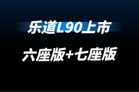 乐道L90正式上市，有六座版和七座版