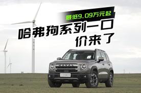 哈弗狗系列一口价限时优惠最高4万来了，最低9.09万起香不香？#哈弗全系换新一口价