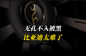 无孔不入被泼脏水，比亚迪屡成舆论靶心，风波中的坚守与不易