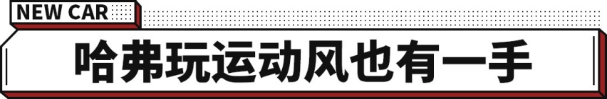 新1.5T 细节很高分！哈弗全新SUV四月预售 又一个爆款