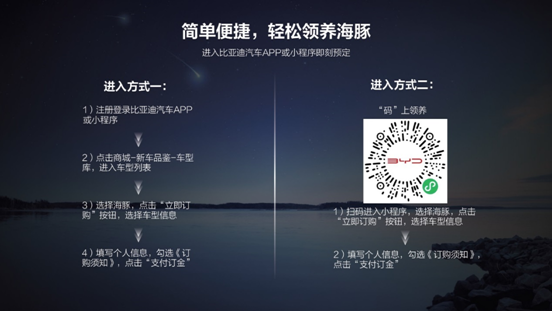 为海洋车系打样，9.68万元-12.48万元，比亚迪海豚预售正式启动