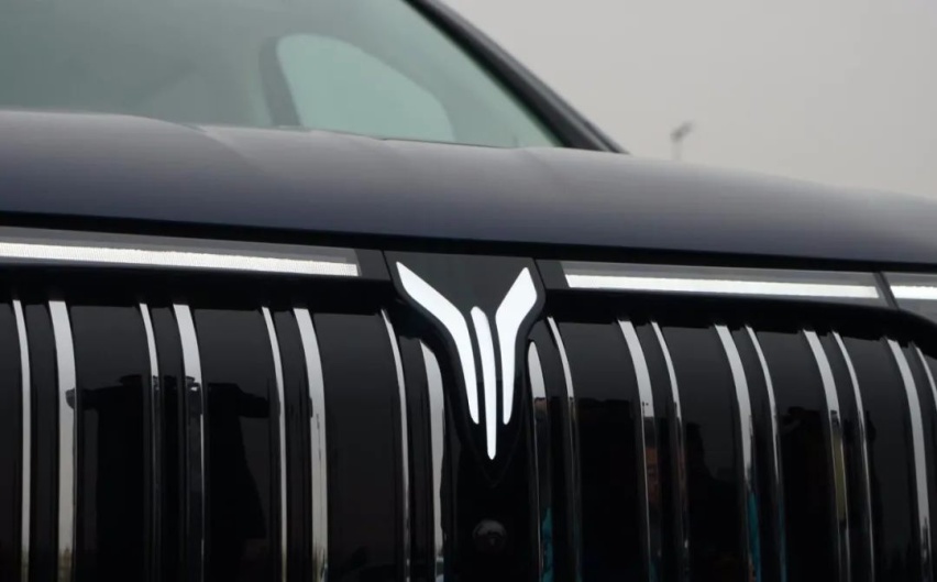起步30万＋的国产MPV，有什么看点？