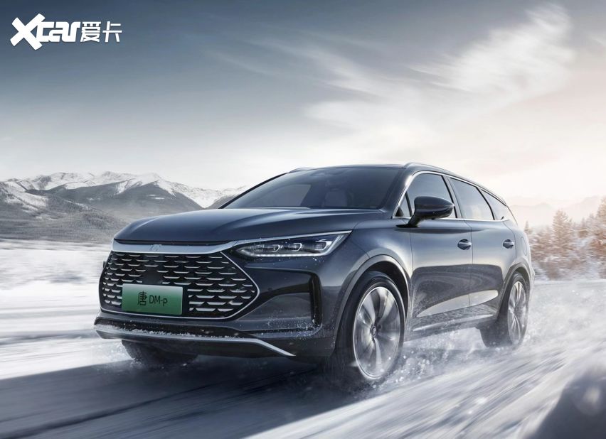 三湖慈鲷价位排行_壮观|喂食时间,一大缸三湖慈鲷蜂拥而上,场面震撼!~(2)