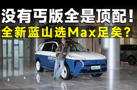 推荐官丨蓝山智能进阶版！别看顶配，买Max立省两万七！