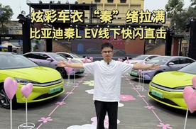 炫彩车衣，“秦”绪拉满，比亚迪秦L EV线下快闪直击