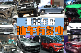 2024北京车展，还有哪些纯燃油新车？