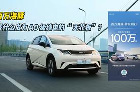 百万海豚，凭什么成为AO 级纯电的“天花板”？
