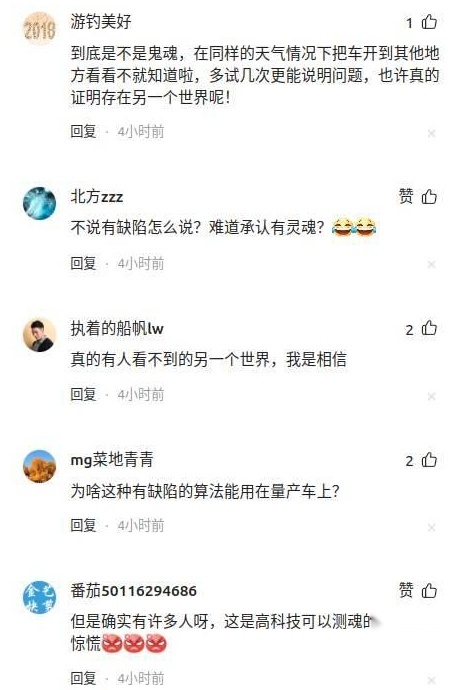 大白天闹鬼！理想车主遭遇灵异事件