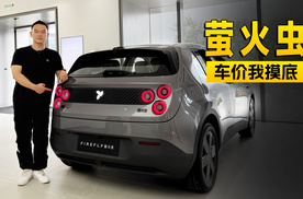 相差6000元该怎么选？蔚来萤火虫到店探访｜智能车指南