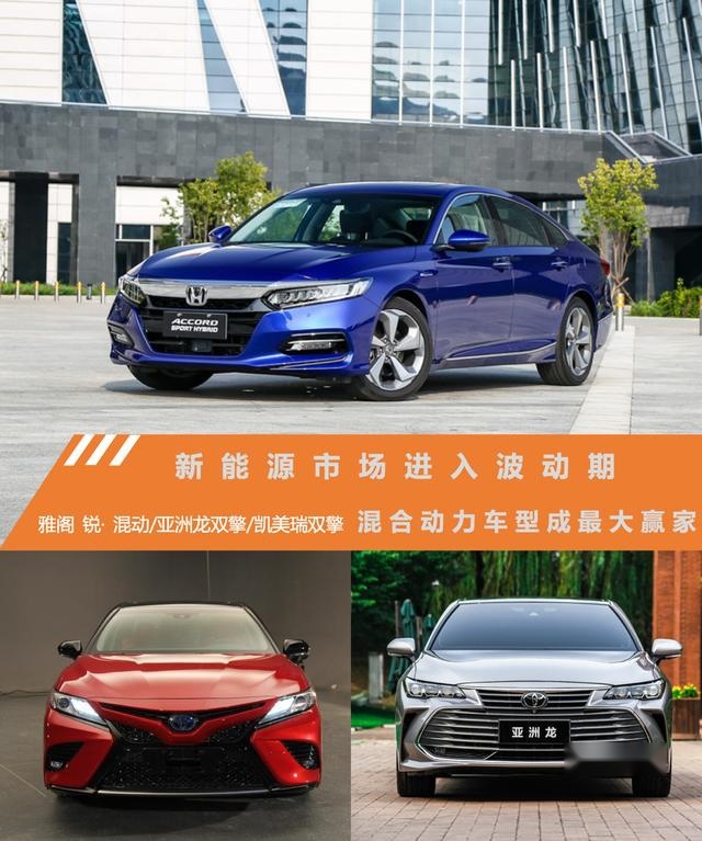新能源市场进入波动期 混合动力车型成最大赢家