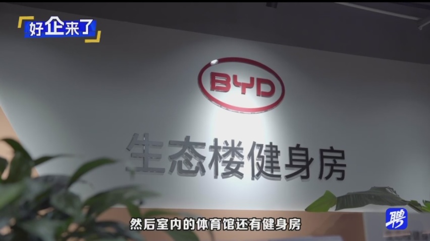 一起去探“新能源工厂”！看看比亚迪的新能源福利有多上头？