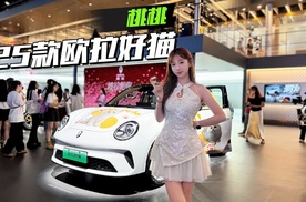 蓝山技术上车，25款欧拉好猫行吗？