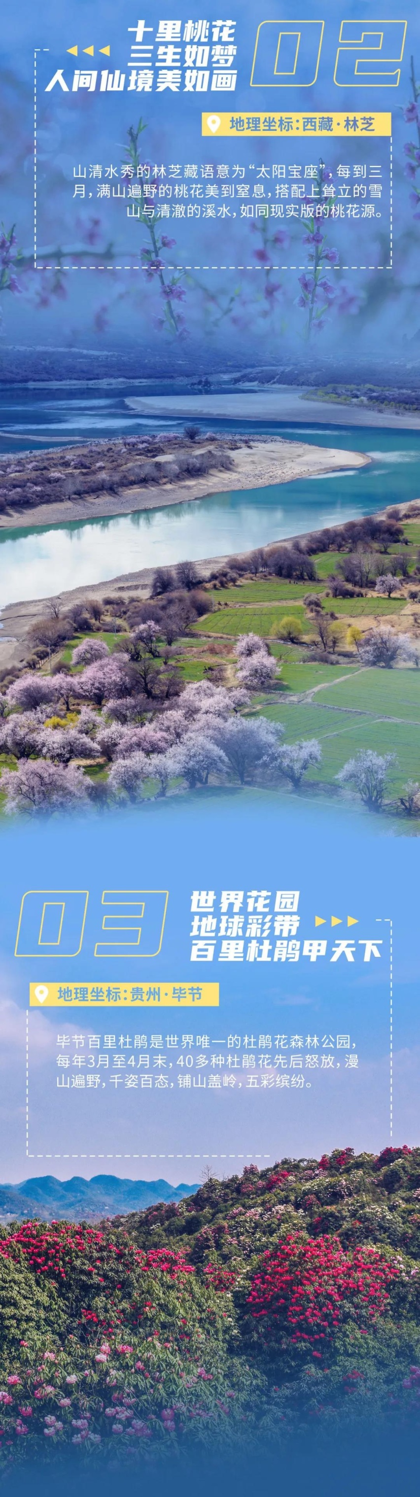跟随奕炫，打卡“花花世界”