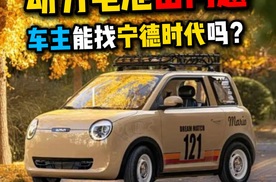动力电池出问题车主能找宁德时代吗？