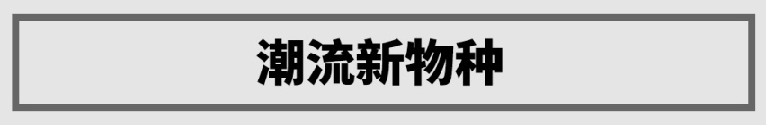 顶配才10.19万？这台大牌中国SUV底子不错，颜值暴涨