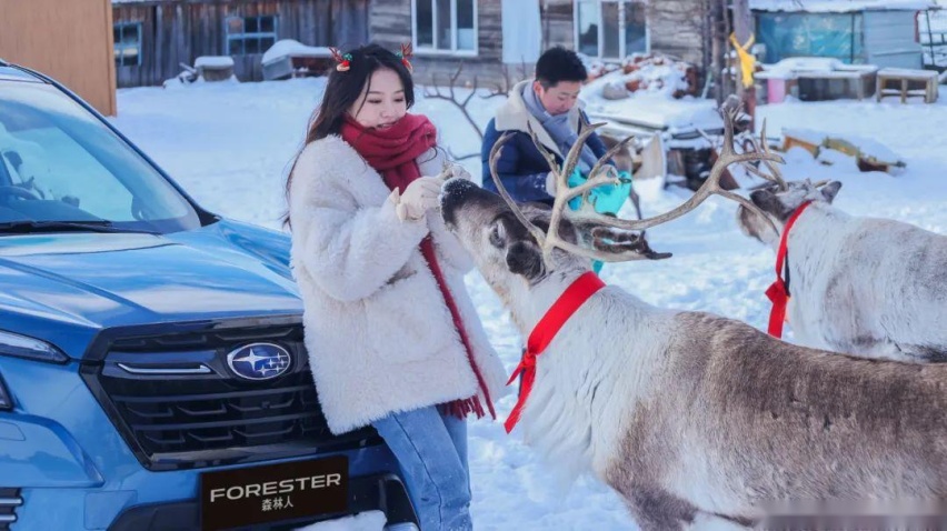《雪国的森林》纪录片以外的故事：敖鲁古雅使鹿部落