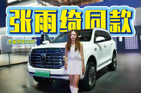 2小时大定破万？全新坦克500补齐辅助驾驶短板！