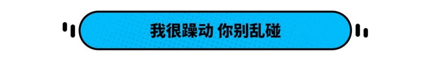 真人不露相，这些车都不是一般货色，惹不起惹不起