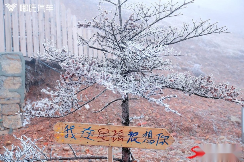 见证成都首批哪吒S用户提车：开最美的车，看最美的景