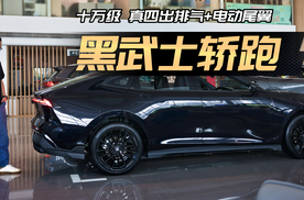 卷麻了！真四出排气+电动尾翼，192匹的十万级轿跑