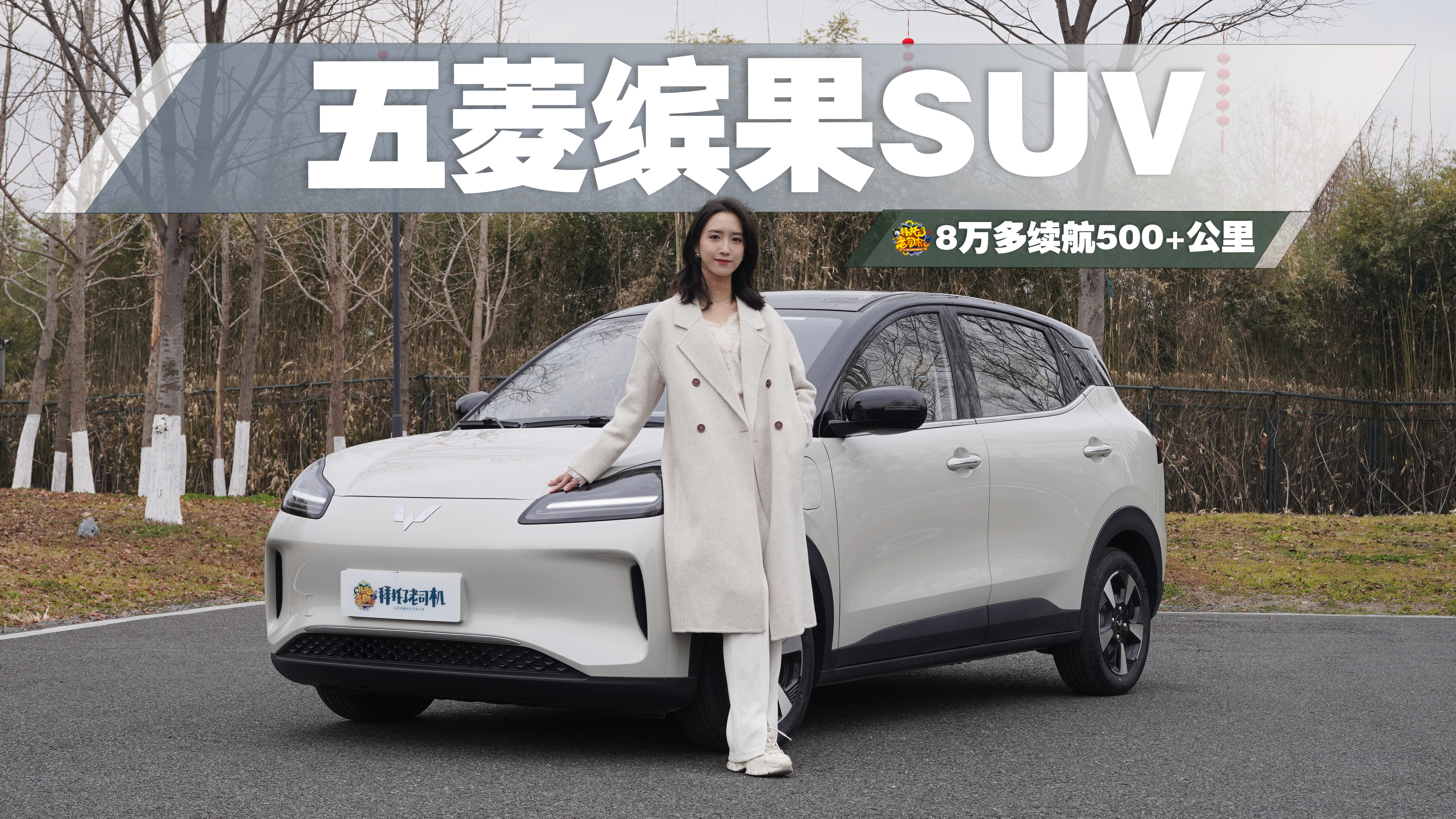 每次出手都是掀桌子！五菱缤果SUV如何做8万级纯电小车搅局者？