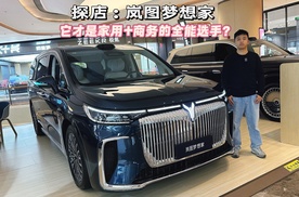 岚图梦想家 它才是家用+商务的全能选手！