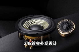 冠军系统音响，你值得拥有