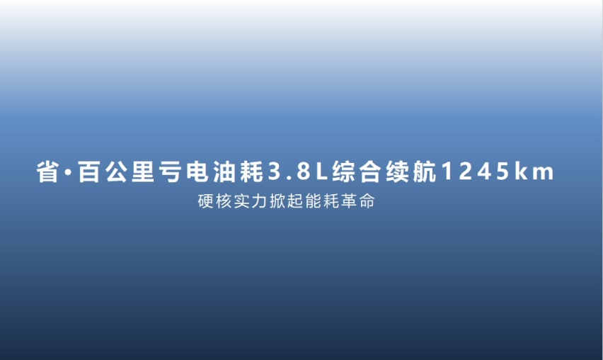 秦PLUS荣耀版驾临云南昆明 A级家轿市场迎来电比油低新时代