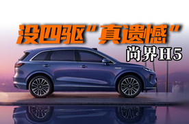 没四驱“真遗憾”！尚界H5