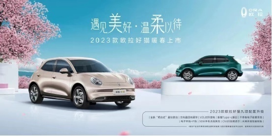 欧拉好猫：一只“国际猫”的养成史