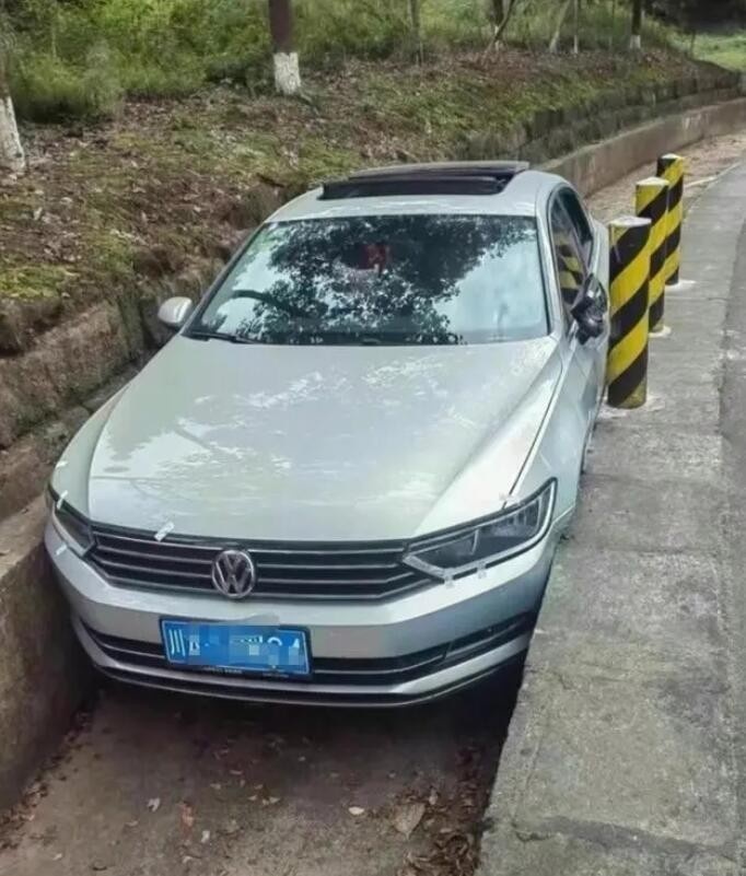 一年两箱油人称鬼见愁 聊聊什么是两箱油仙人