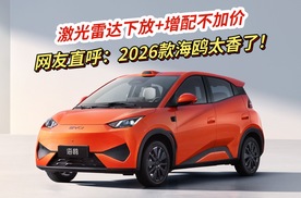 激光雷达下放+增配不加价，2026款海鸥诚意拉满！