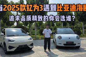 当2025款钇为3遇到比亚迪海鸥，追求品质精致的你会选谁？