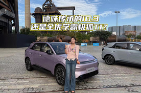 德味传承的ID.3还是全优学霸极狐T1？