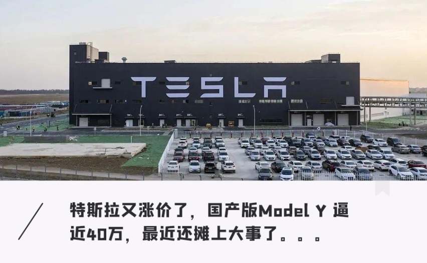 特斯拉被严查？全系大幅涨价，国产Model Y 逼近40万
