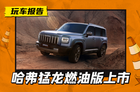 2.0T+9DCT/全系四驱，哈弗猛龙燃油版正式上市，限时换新价13.69万起