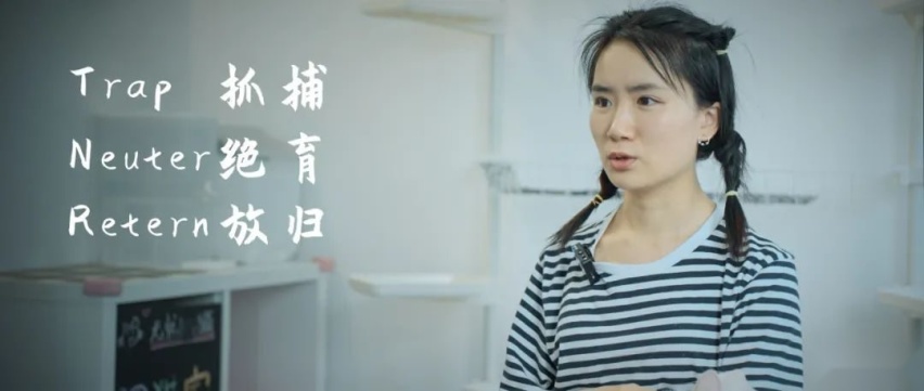 不忘初心，做自己的逍客，坚持自己热爱的事业