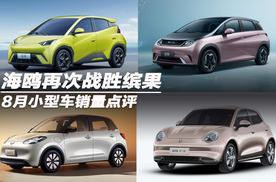 8月小型车销量点评：海鸥再次战胜缤果