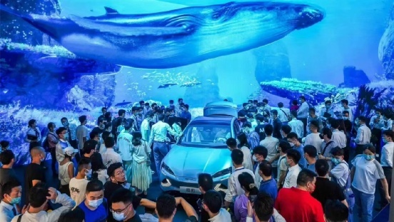 人人喊打？“对标比亚迪”成为了新的销量密码