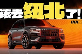 极氪8X，贵有贵的底气？