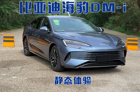 比亚迪海豹DM-i静态体验
