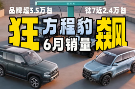 闪充方盒大小王协同发力 方程豹6月总销量突破3.5万台