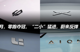 4月，零跑夺冠，“二小”猛进，蔚来反弹