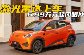 增配不增价，激光雷达上车！2026款海鸥6.99万起，闭眼冲