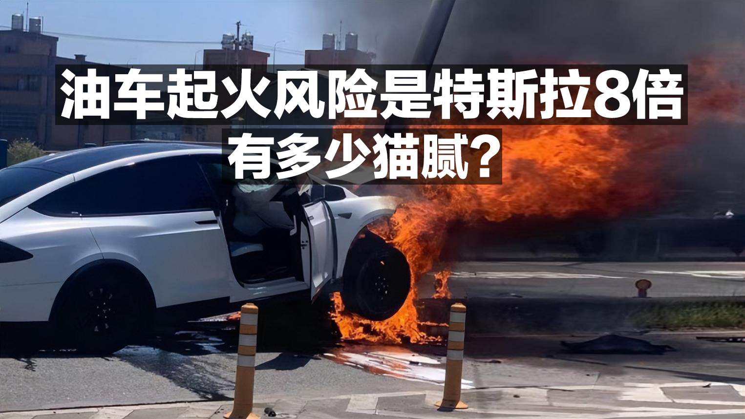 �ͳ�����������˹��8�����ж���è�壿
