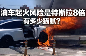 油车起火风险是特斯拉8倍，有多少猫腻？