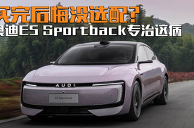 奥迪E5 Sportback，是选个性还是选“钦定”的性价比？
