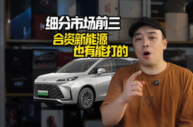 闯进细分市场前三，合资新能源也有能打的