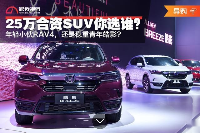 25万合资SUV你选谁？年轻小伙RAV4还是稳重青年皓影